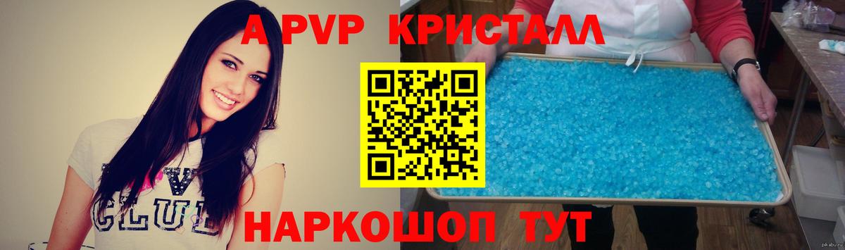 A PVP СК КРИС Новотроицк