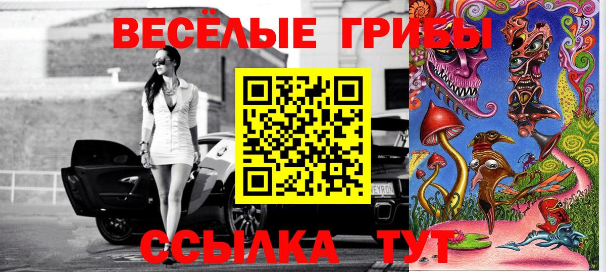 Новотроицк  Галлюциногенные грибы Psilocybine cubensis  Вход с VPN 