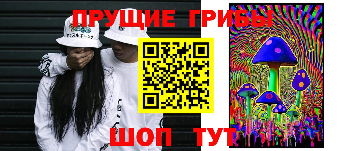 Галлюциногенные грибы Magic Shrooms Новотроицк